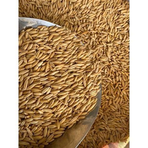 jockey oats